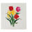 Tulipany Biel