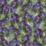 WISTERIA