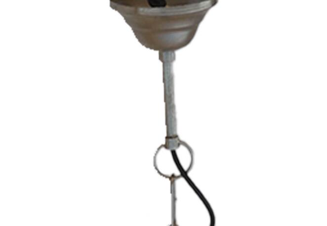 SEB17729
